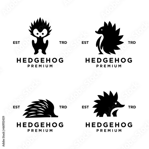 Hedgehog Logo icon design illustration