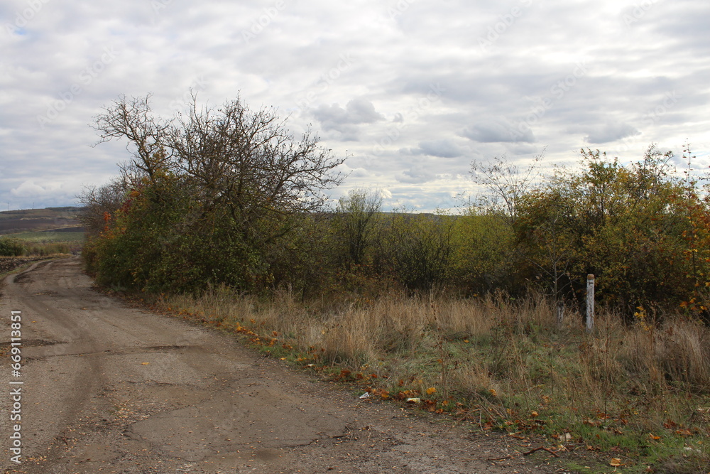 A road with grass and trees on the side A road with grass and trees on the side
