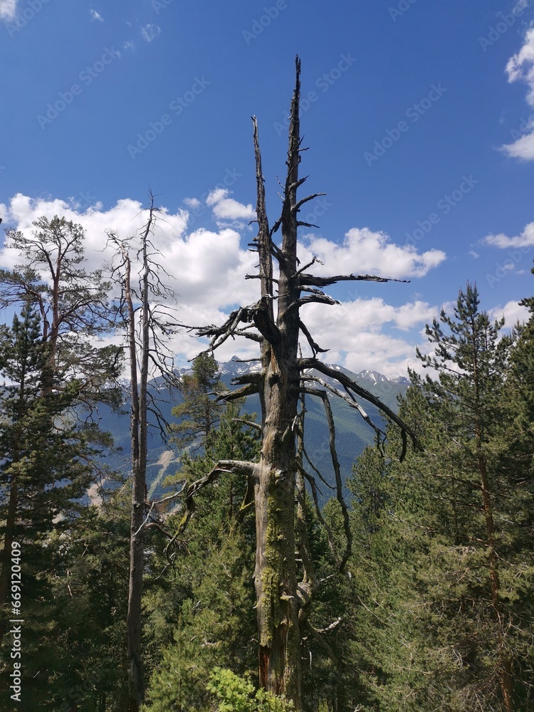 Fototapeta premium Arkhyz. Hike to the Sofia waterfalls. One day hike. Nine powerful streams