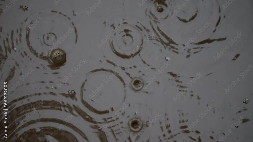 Bird's-eye view: Slow-paced raindrops strike puddle; characteristic bubbles form, reflecting autumn trees and sky. Bird's-eye view: Slow-paced raindrops strike puddle; characteristic bubbles form, reflecting autumn trees and sky.