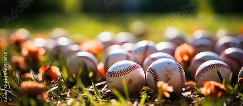 baseball sports equipment on the grass