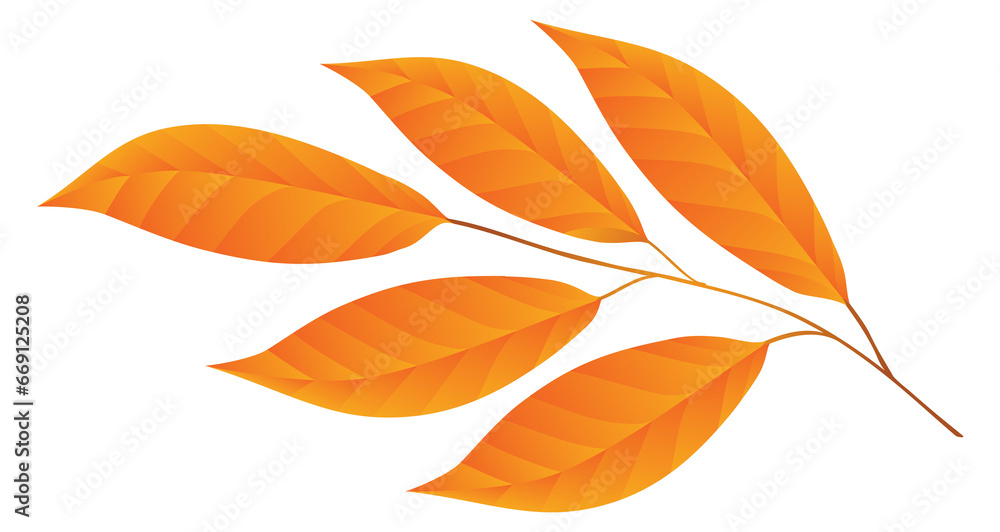 Autumn tree branch. Season nature. Fall botany Autumn tree branch. Season nature. Fall botany