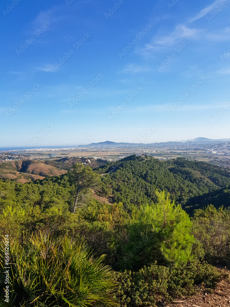 Fototapeta premium Beauty of a forest landscape with a city in the distance