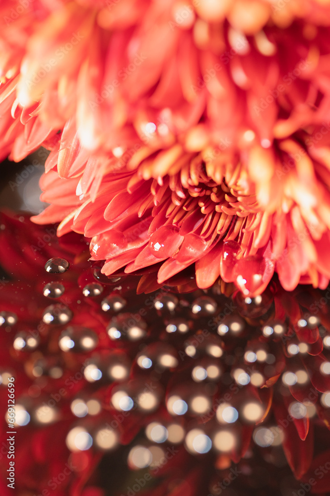 Red petals in a bouquet and scattered water drops in the foreground.