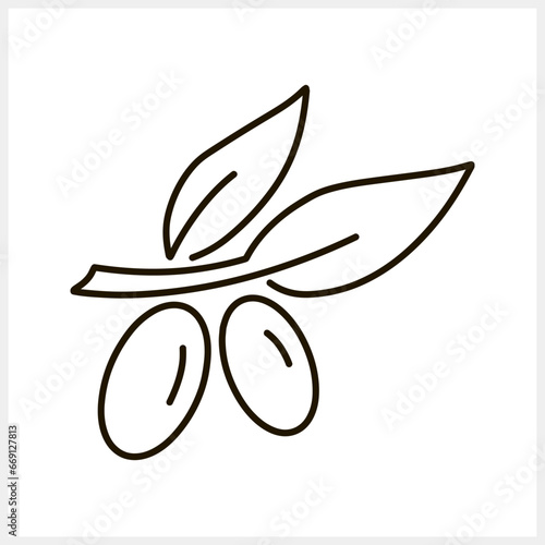 Olive clipart. Branch with leaf and fruit isolated. Sketch Vector stock illustration. EPS 10
