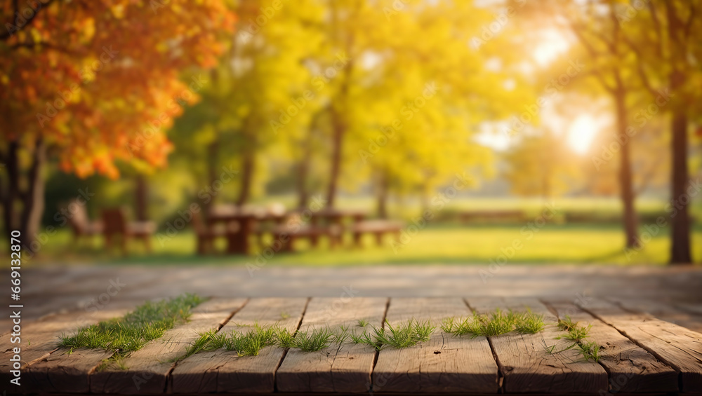 The patio is made of wooden planks with grass sprouting between them. In the background, you can see trees with yellow and orange leaves and the bright sun shining through them - obrazy, fototapety, plakaty 