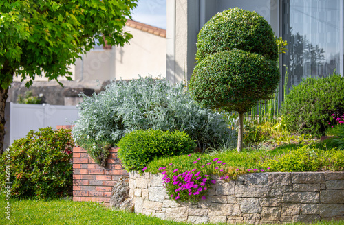 Fototapeta Naklejka Na Ścianę i Meble -  Aménagement de jardin paysagé, plante et fleur au pied d'une maison moderne.