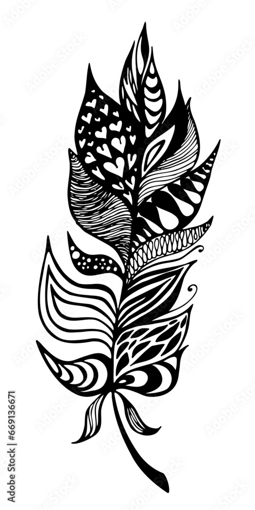 Feather. Line art hand drawn illustration. Doodle art. Black vector sketch isolated on transparent background.