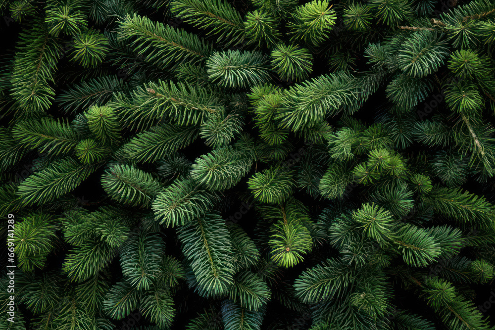Lush Green Pine Needle Texture