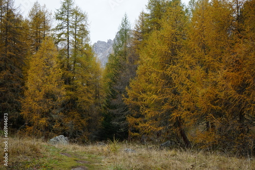 swiss alps albula pass in autumn