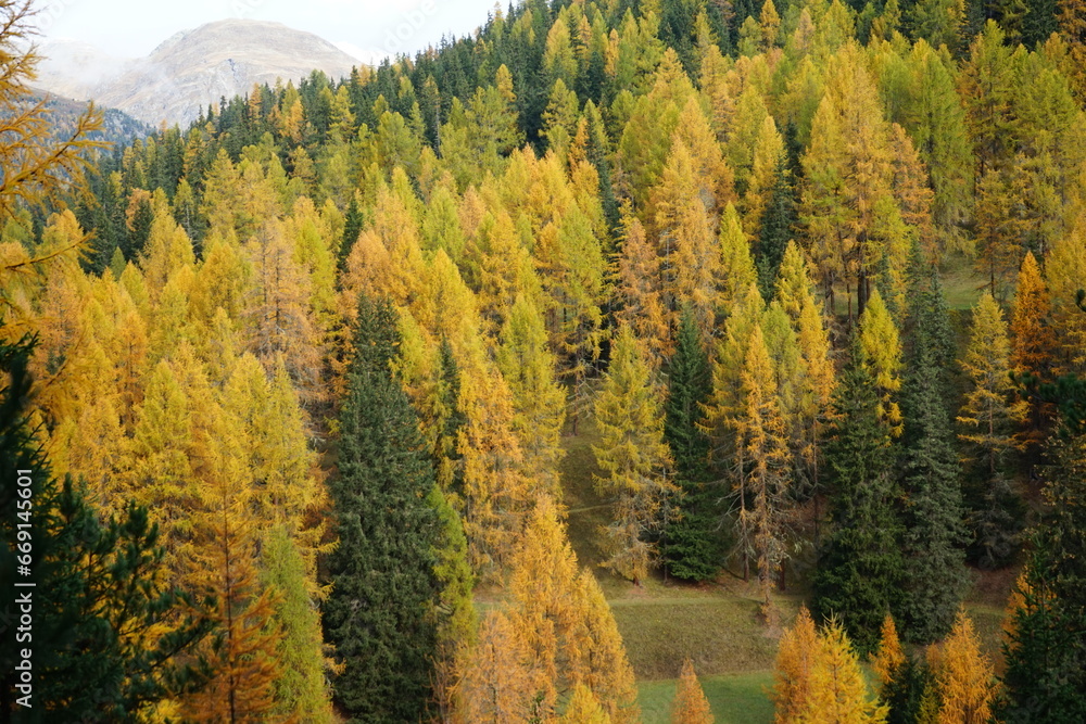 Parc Naziunal Svizzer landscapes and hiking paths in autumn 2024 Parc Naziunal Svizzer landscapes and hiking paths in autumn 2024