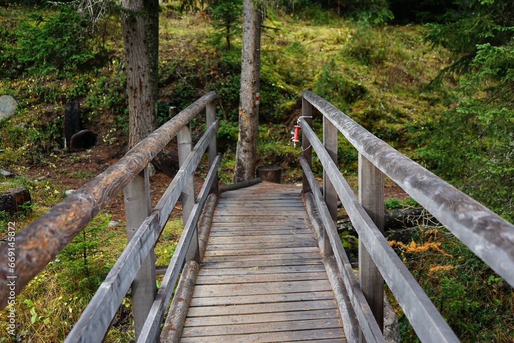 Parc Naziunal Svizzer bridge in the woods, wooden bridge, Parc Naziunal Svizzer bridge in the woods, wooden bridge,