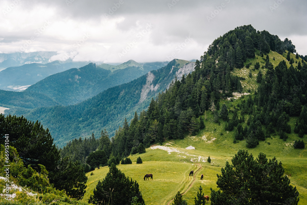 View of the alpine meadows, forest, and cliffs of the Vallon De Combeau natural reserve near Chatillon en Diois in the south of France (Drome)