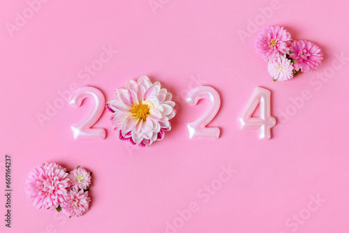 Pink numbers and pink dahlia aster flowers on a pink background. 2024 new year idea concept. Simple and clean design Happy New Year 2024 and Merry Christmas. Flat lay