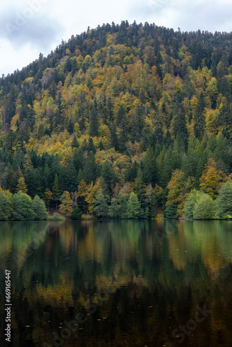 Forêt multicolore d'automne et son reflet dans le lac de Retournemer dans les Vosges