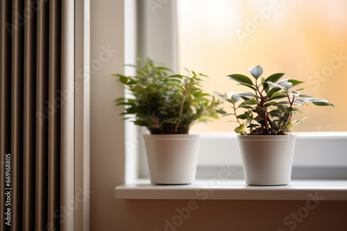 Beautiful houseplant on window sill and modern radiator at home  Central heating system