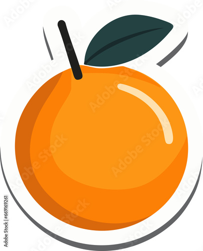 Orange Fruit Illustration