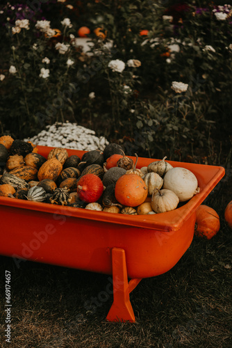 Vibrant orange pumpkins resting in an orange tub, adding a pop of color and seasonal charm to any setting.