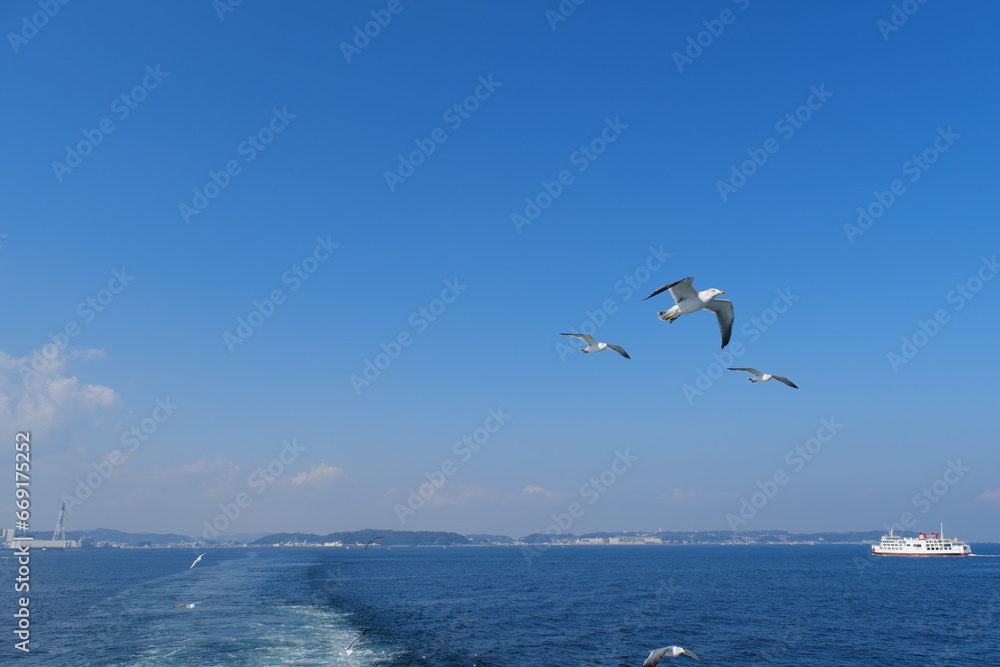 東京湾とカモメ　Tokyo Bay and Seagulls