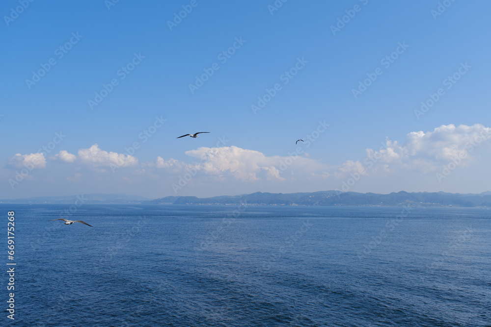 東京湾とカモメ　Tokyo Bay and Seagulls