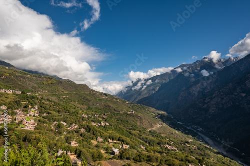 landscape in the summer