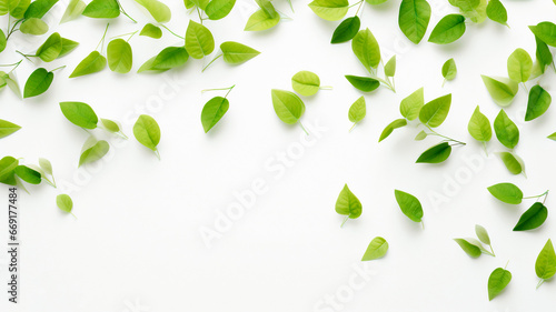 green leaves background with space for text  generative AI
