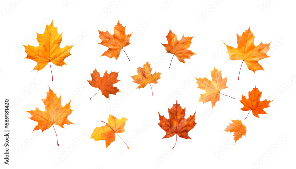 flying autumn leaves isolated on transparent background cutout flying autumn leaves isolated on transparent background cutout
