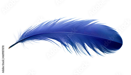 blue feather isolated on transparent background cutout photo