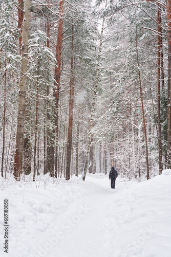 A lone figure of a pedestrian on a path in a snowy white forest. It is snowing. Copy space.