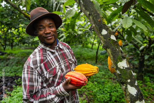Satisfied farmer collects cocoa pods in his field in Cameroon