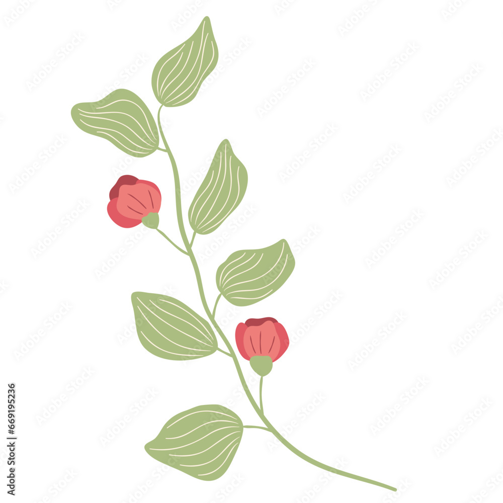 wild floral illustration wild floral illustration
