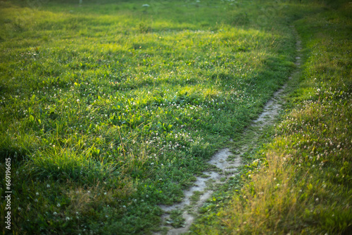 Path in park. Path across field. Green lawn.
