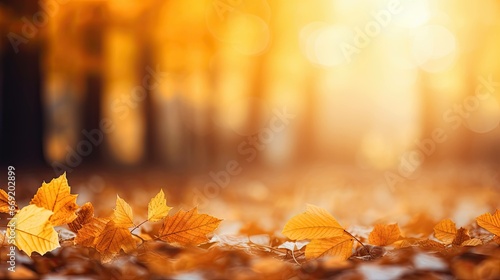 Beautiful yellow and orange leaves in blurred tree autumn park on a bright sunny day. falling leaves natural background