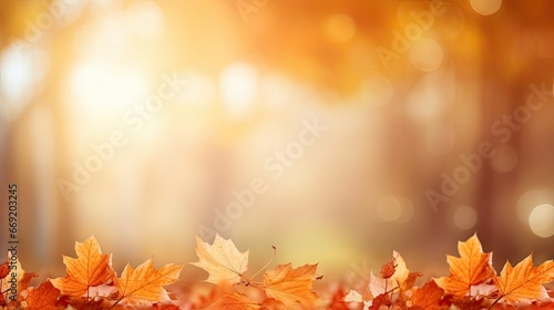 Colorful universal autumn forest orange leaves with a blurred background