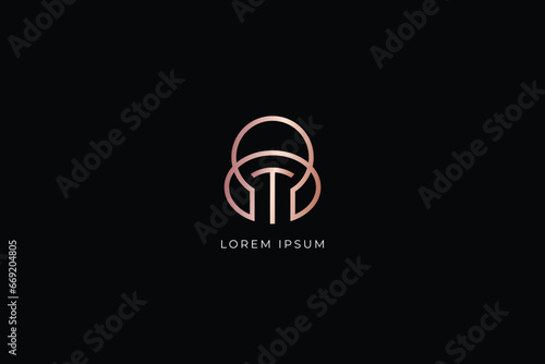 ot letter modern style design creative golden wordmark design typography illustration, T wordmark, to logo