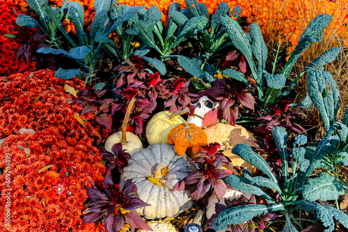 Autumn scene with pumpkins and gourds with colorful mums and green foliage
