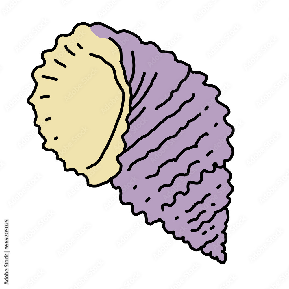 Sea shell natural beauty from ocean beach treasure collection. Summer time vacation mood. Aquarium exotic tropical decoration. Hand drawn illustration. Line drawing. Sea shell natural beauty from ocean beach treasure collection. Summer time vacation mood. Aquarium exotic tropical decoration. Hand drawn illustration. Line drawing.