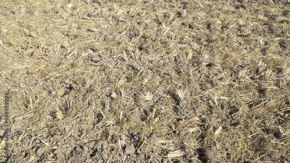 Plowed field after harvest in Japan Plowed field after harvest in Japan