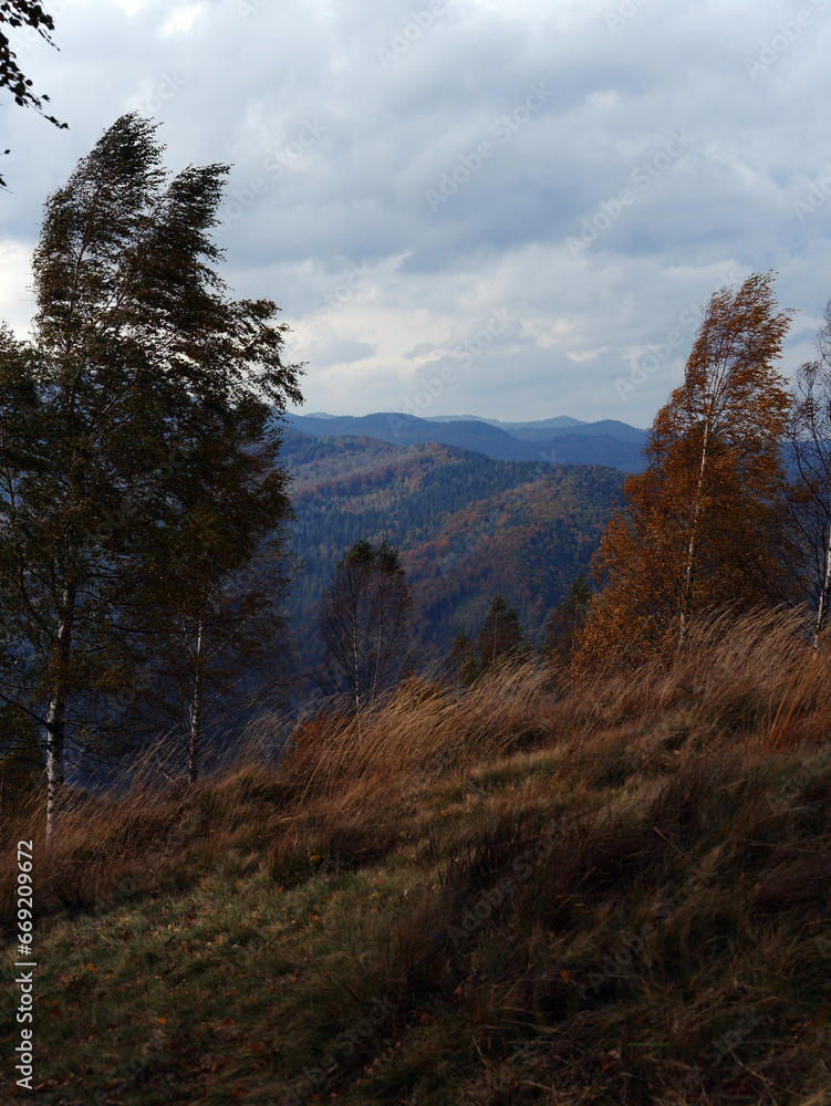 beautiful view of the mountains. autumn landscape of incredibly beautiful mountains. Ukraine, Carpathians. trip to the mountains in autumn. nature panorama