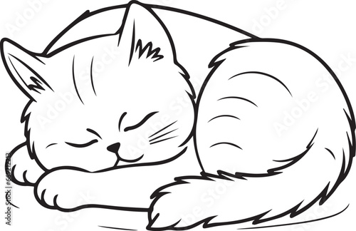 felini animali carnivori, tigri e leoni, gattini felici 08