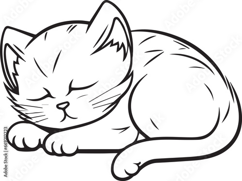 felini animali carnivori, tigri e leoni, gattini felici 06