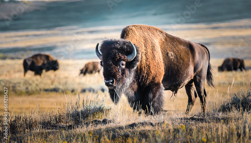 american bison in the prairie generative ai