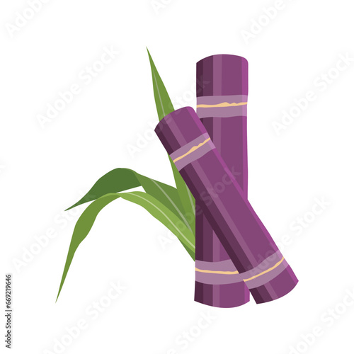 Sets of sugarcane stem and leaves. Green and violet sugar cane plant sliced. Cut saccharum officinarum and sweet juice. Agriculture industry healthy product. Fresh and raw sugarcane icon, logo, vector