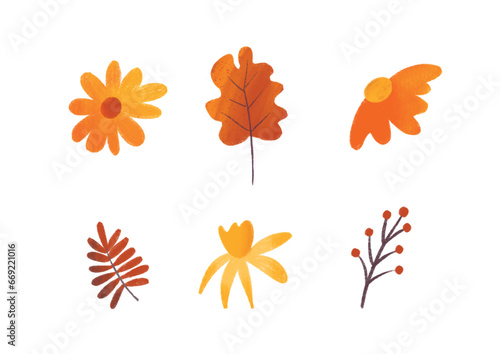 Colorful autumn leaves in heart shape. Fall nature elements for decor. On white background.Hand drawn of fall season foliage vectors for card  print  graphic  decorative.