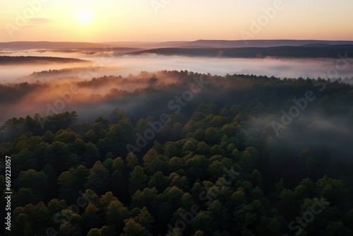 sunrise, sunset over beautiful and calm forest © PhillPixel