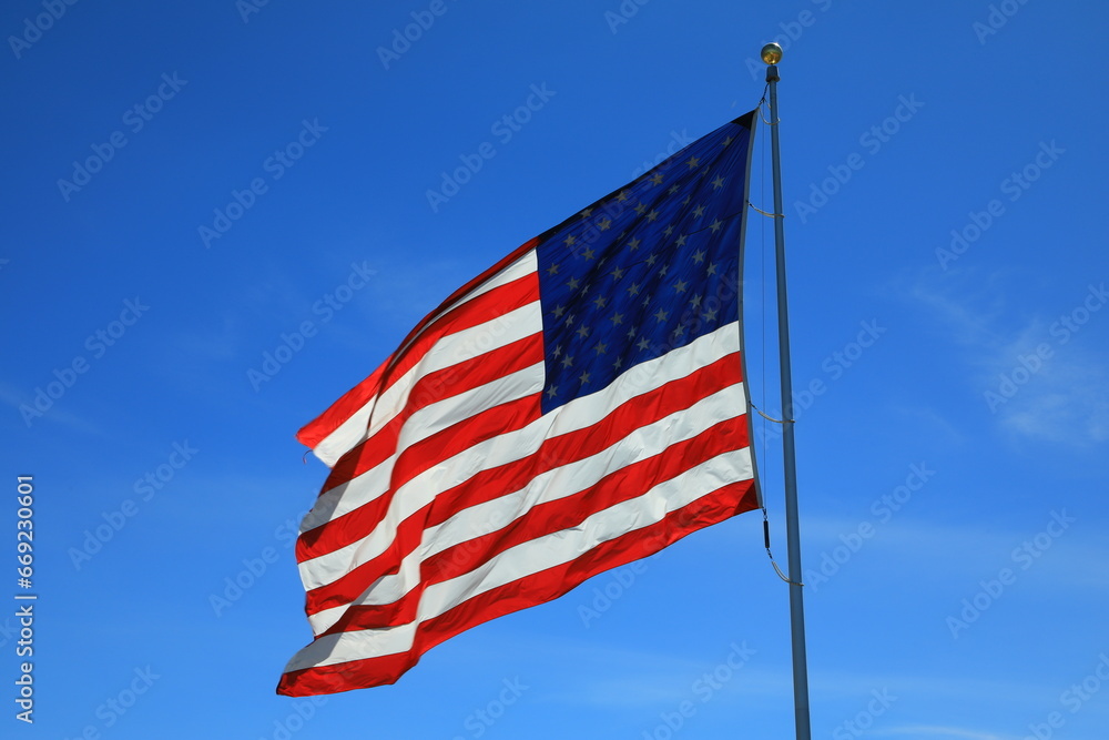The flag of United States of America 