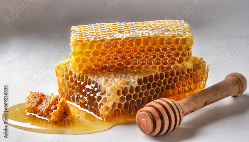 fresh honeycombs with honey on white background