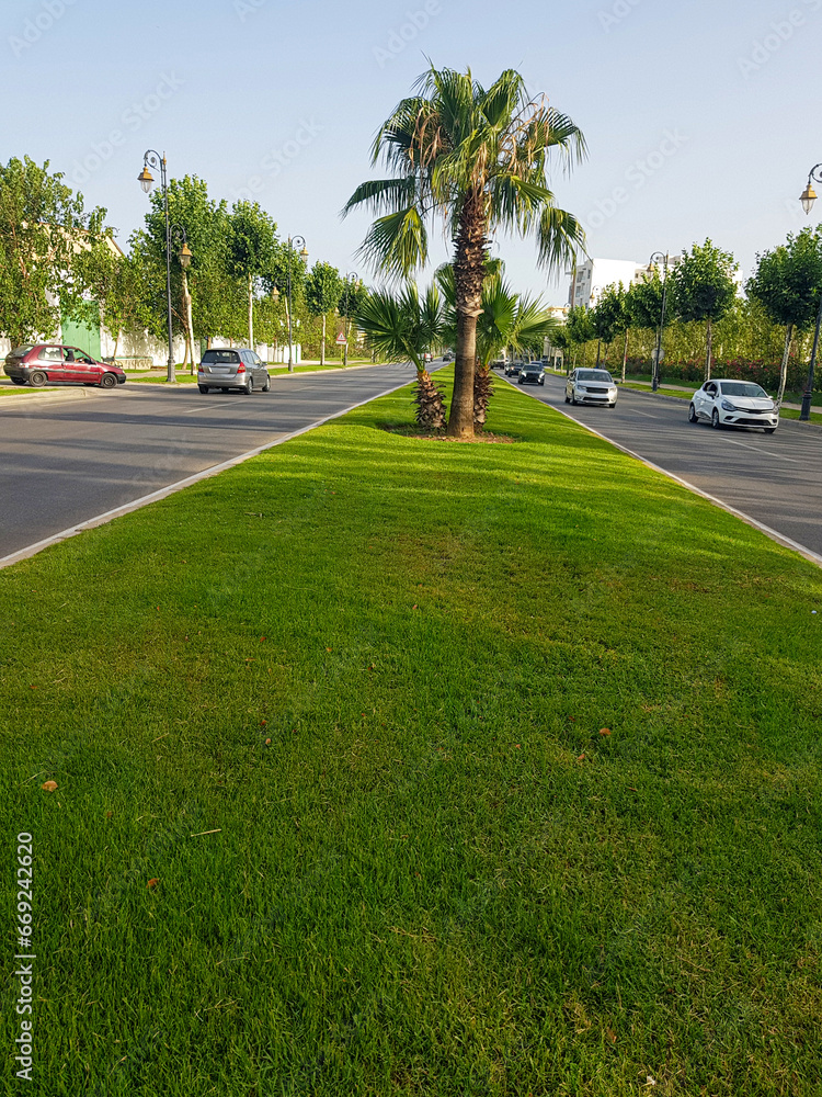 Obraz premium Road surrounded by nature scenery
