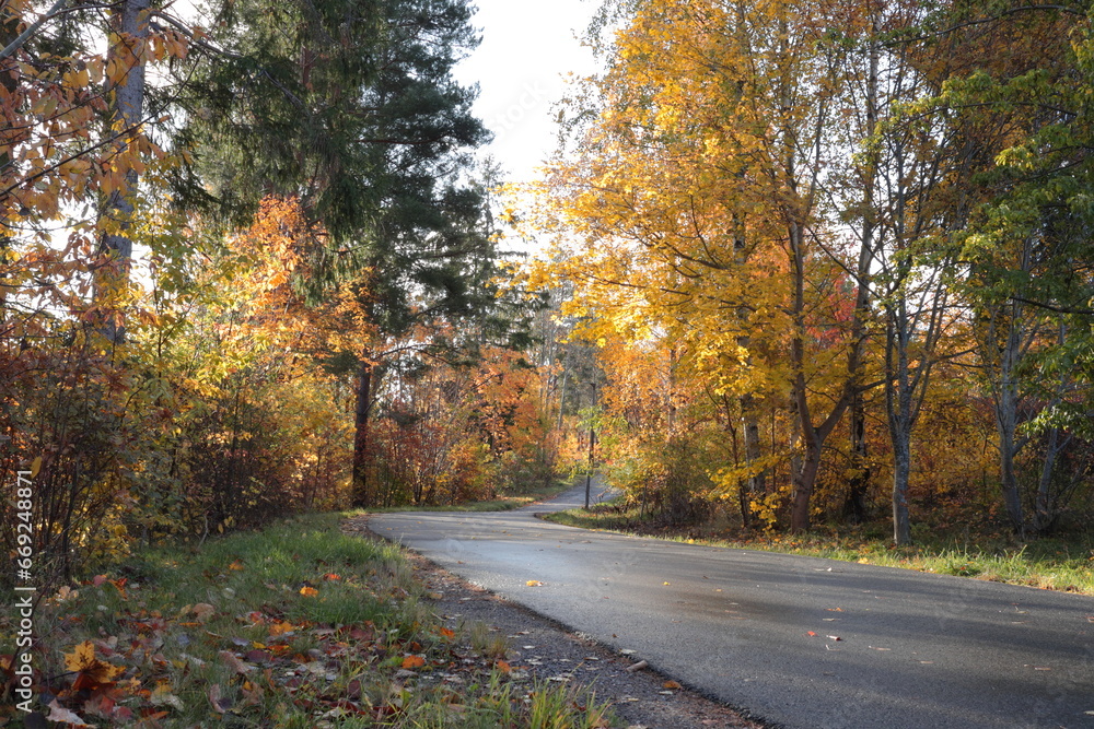 Obraz premium Scandinavian autumn road. Colorful leaves and trees. October. Stockholm, Sweden.