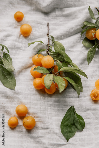 Piękne, pomarańczowe owoce mirabelki. Aż chce się zjeść!